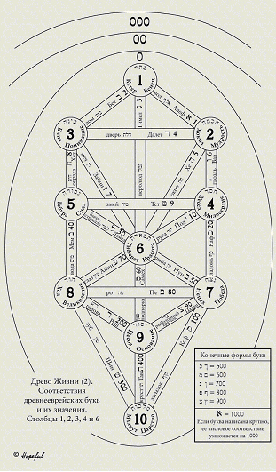 tree-of-life